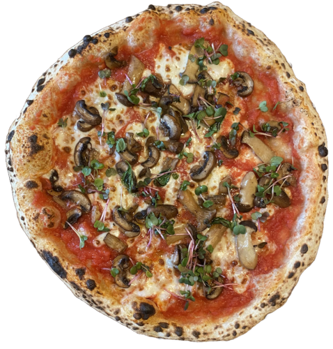Pizza Pilz